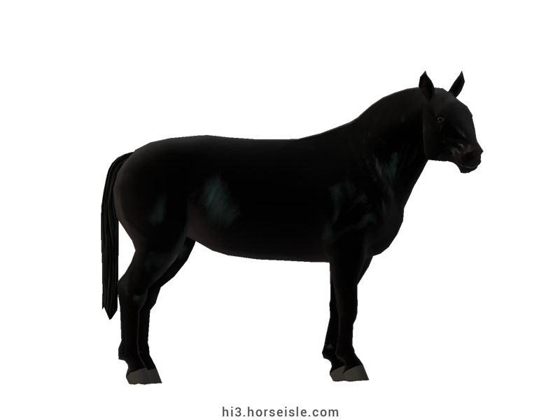 Cow-pony Chianina Sooty Coal Black Coat (normal view)